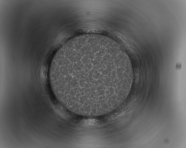 X0000102350695200808291201