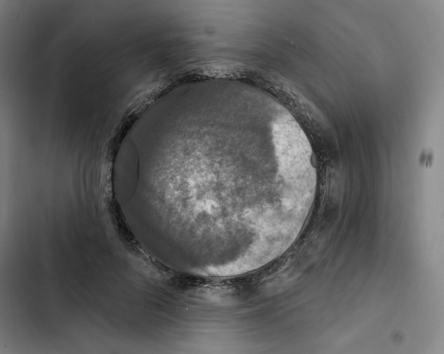 X0000102350696200808291201