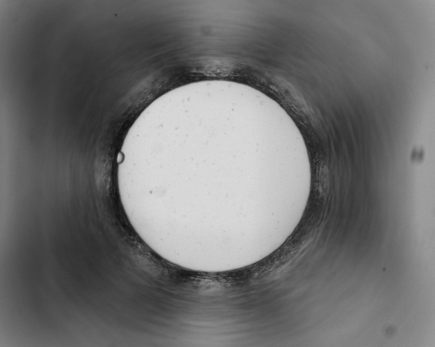X0000102350697200808291201