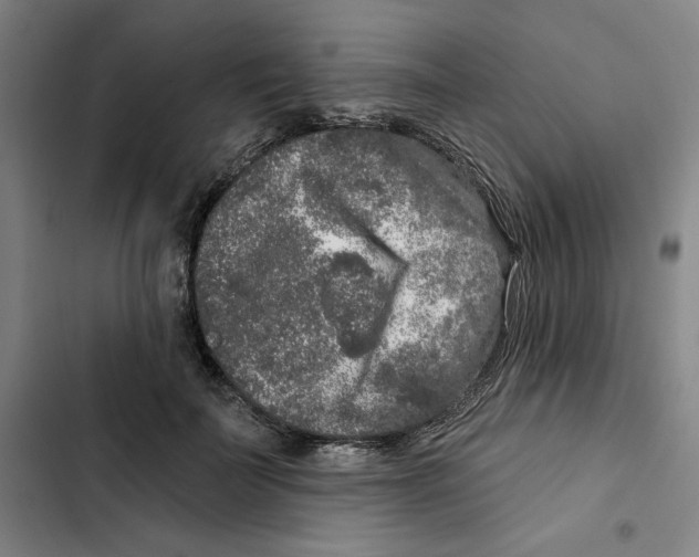 X0000102350699200808291201
