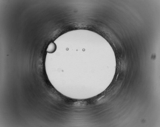 X0000102350700200808291201