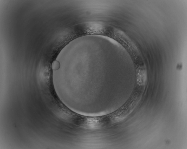X0000102350701200808291201