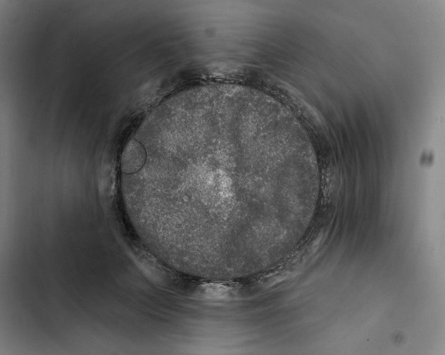 X0000102350703200808291201