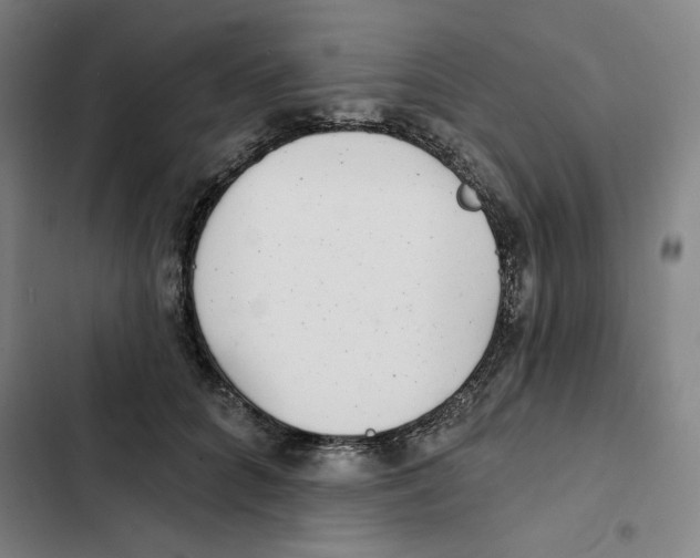 X0000102350704200808291201