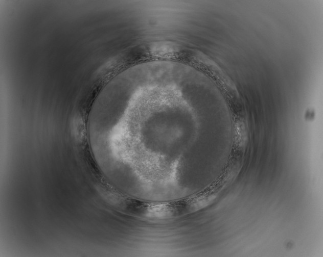 X0000102350705200808291201