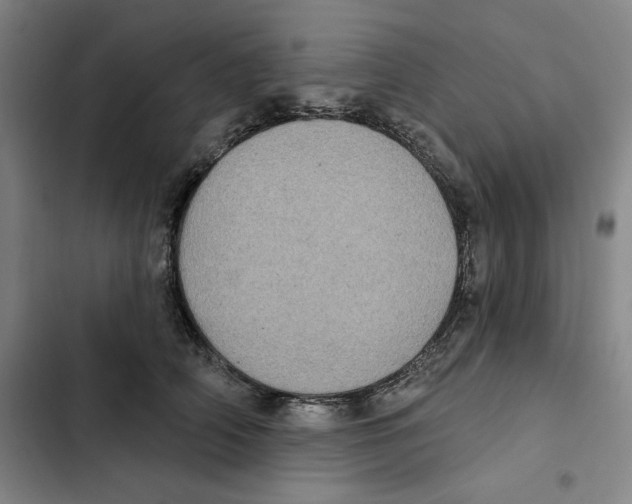 X0000102350706200808291201
