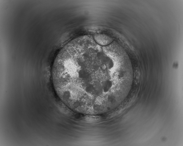 X0000102350707200808291201