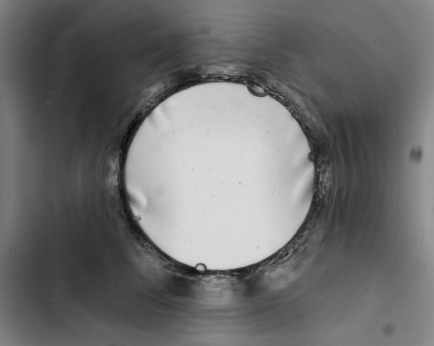 X0000102350708200808291201