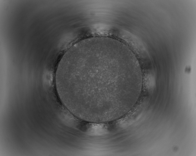 X0000102350709200808291201