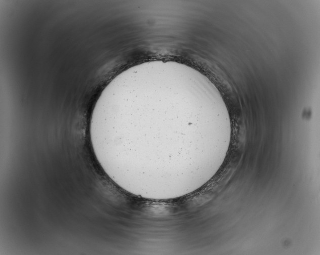X0000102350710200808291201
