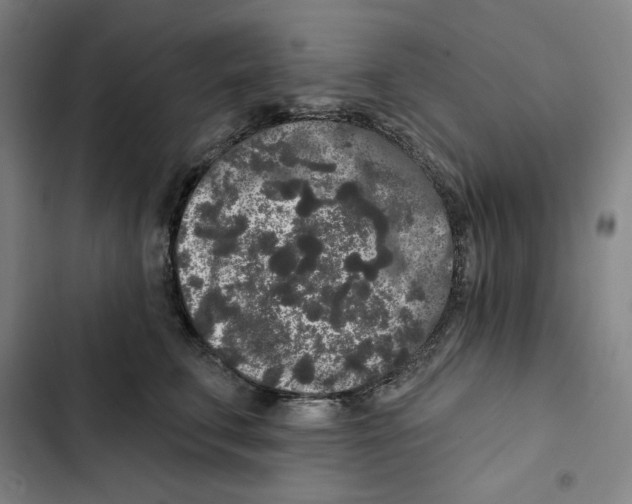 X0000102350711200808291201