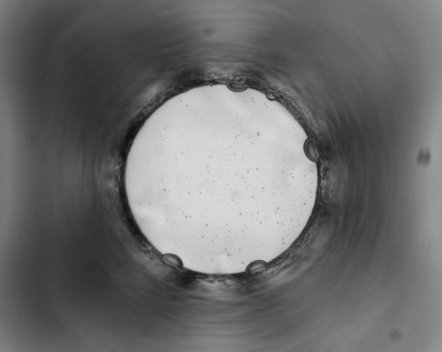 X0000102350712200808291201
