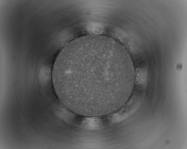 X0000102350713200808291201