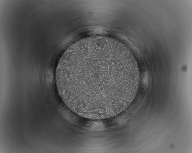 X0000102350715200808291201