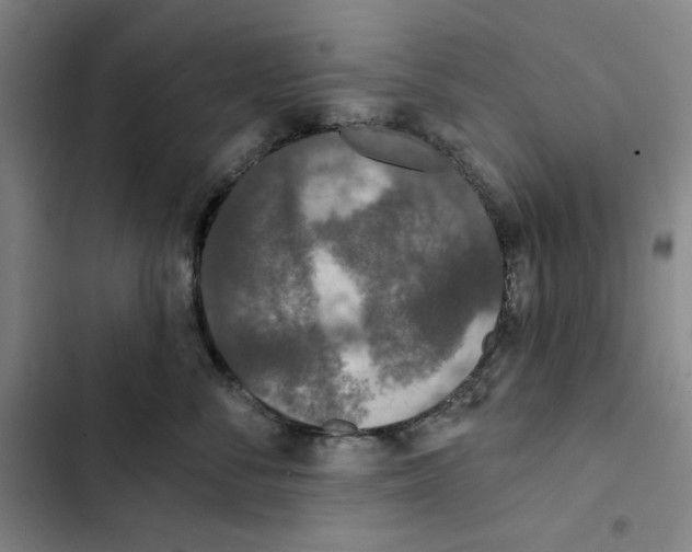 X0000102350716200808291201