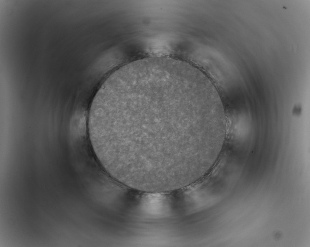 X0000102350717200808291201