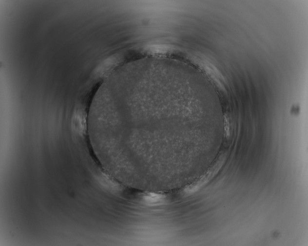 X0000102350718200808291201