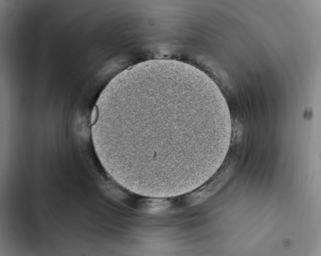 X0000102350719200808291201