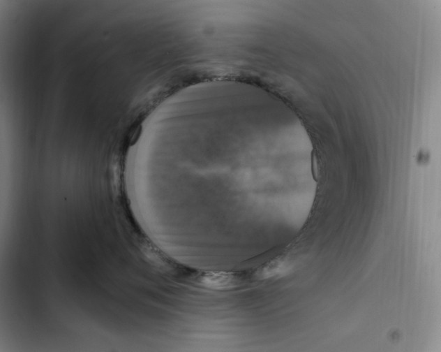 X0000102350720200808291201