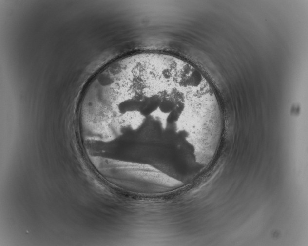 X0000102350721200808291200