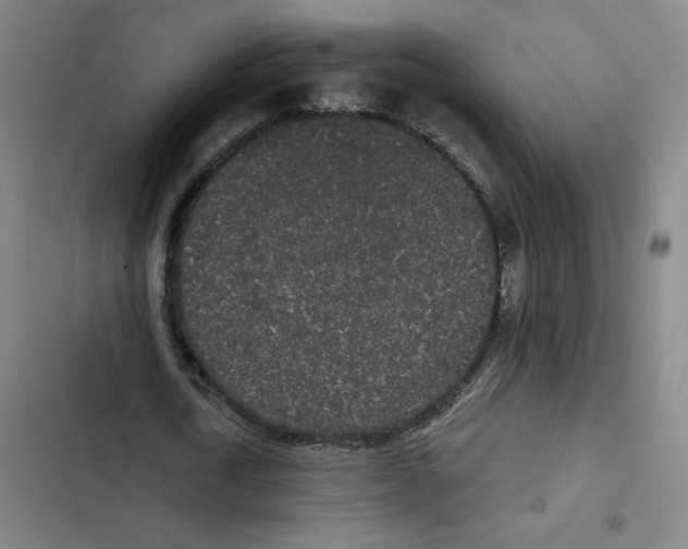 X0000102350722200808291200