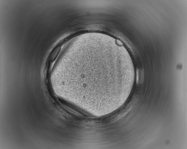 X0000102350723200808291200