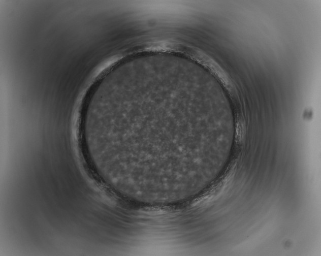 X0000102350724200808291200