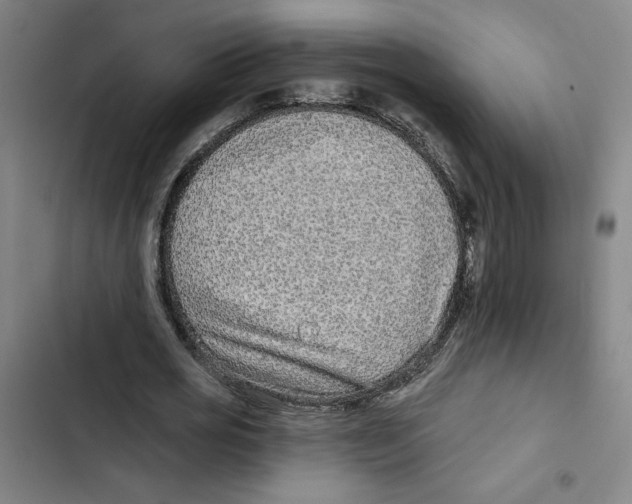 X0000102350725200808291200