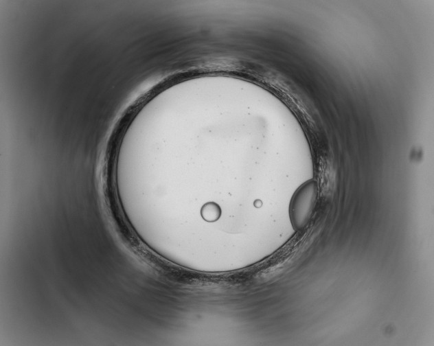 X0000102350726200808291200