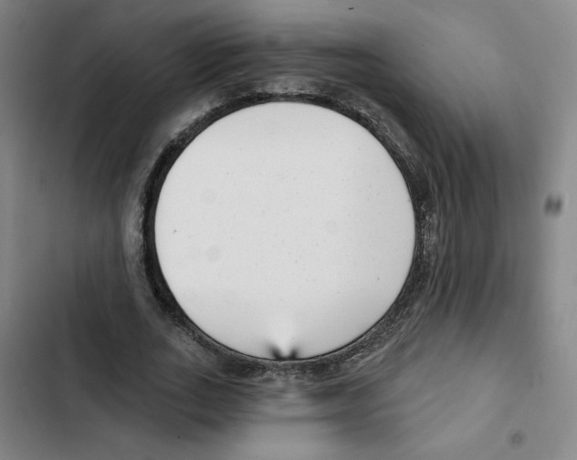 X0000102350727200808291200