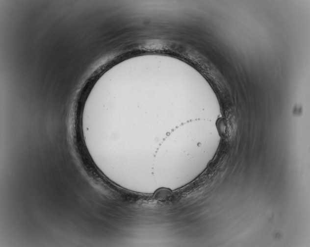 X0000102350728200808291200