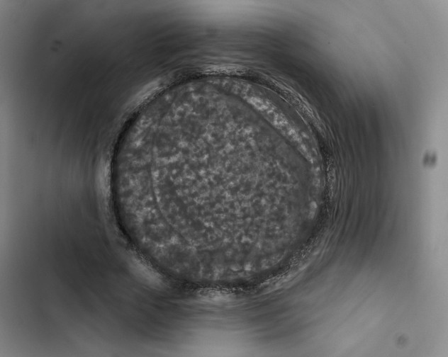 X0000102350729200808291200