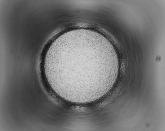 X0000102350730200808291200