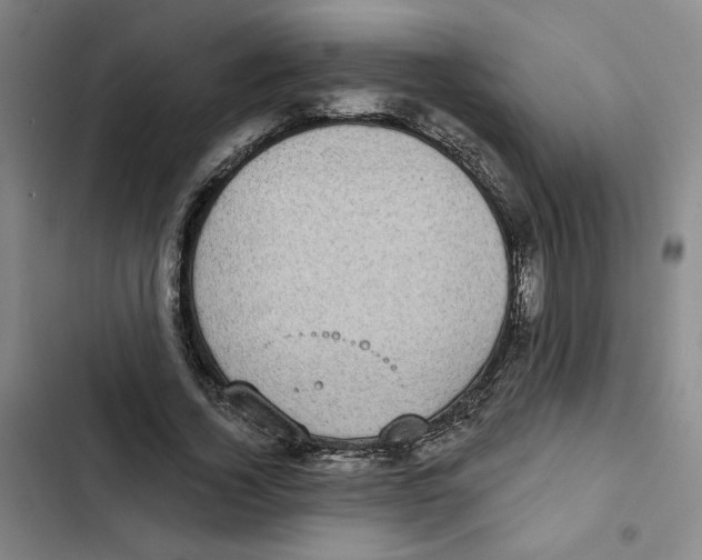 X0000102350732200808291200