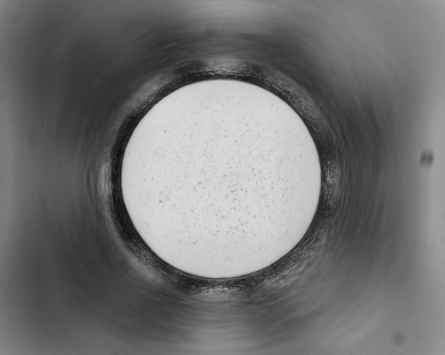 X0000102350734200808291200