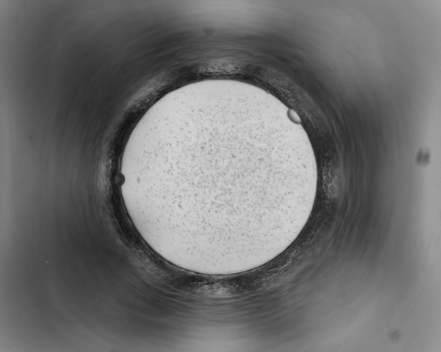 X0000102350735200808291200