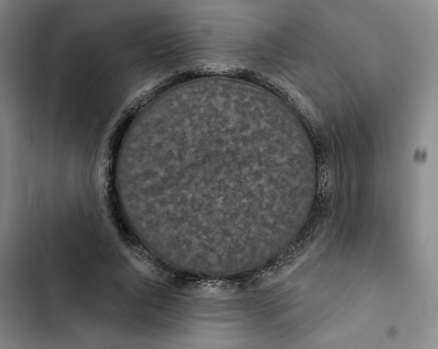 X0000102350736200808291200