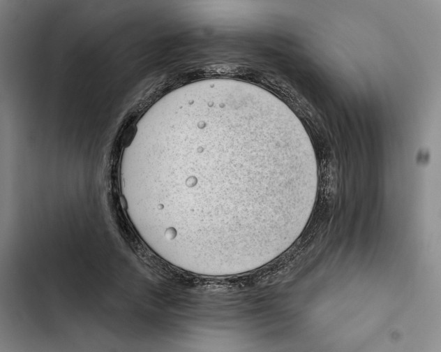 X0000102350738200808291200