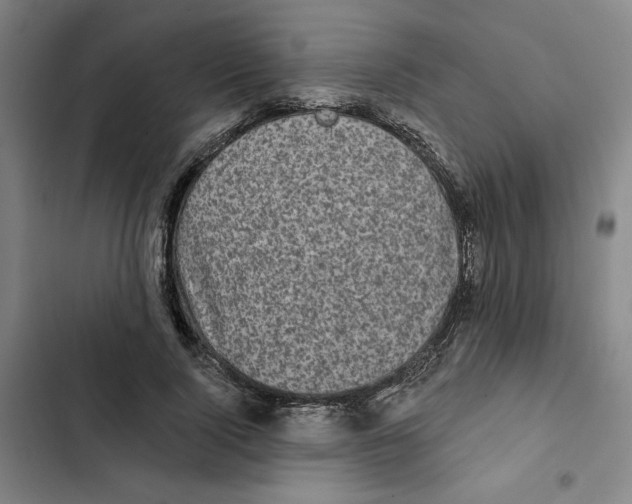 X0000102350740200808291200