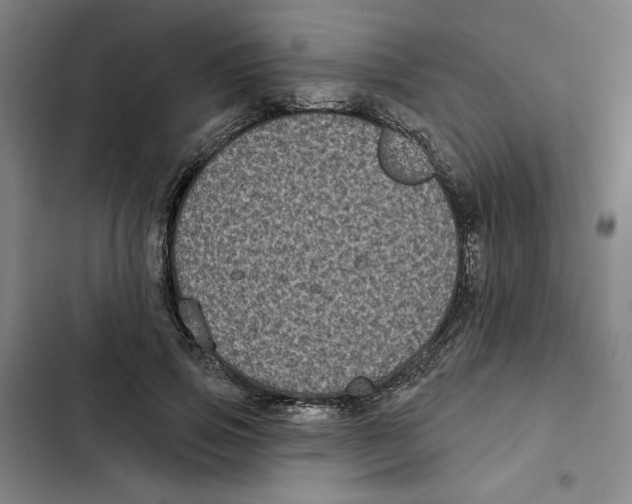X0000102350741200808291200