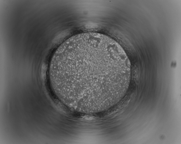 X0000102350742200808291200