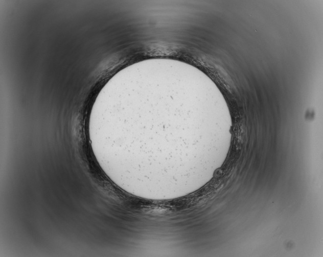 X0000102350743200808291200