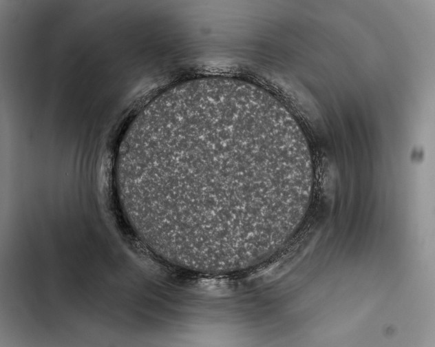 X0000102350744200808291200