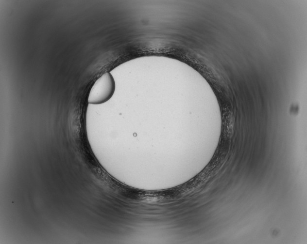 X0000102350746200808291200