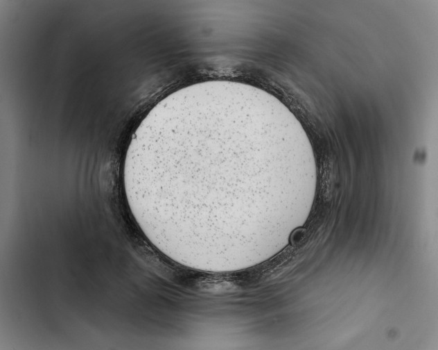 X0000102350747200808291201