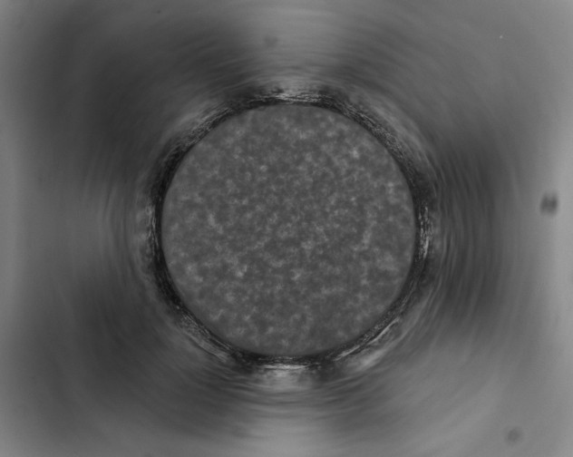 X0000102350748200808291201