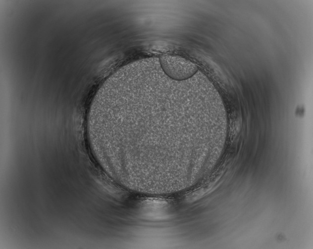 X0000102350749200808291201