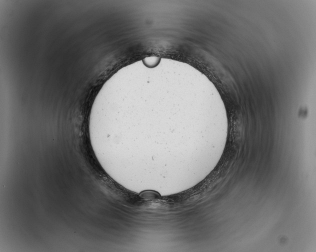X0000102350750200808291201