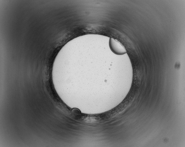 X0000102350751200808291201