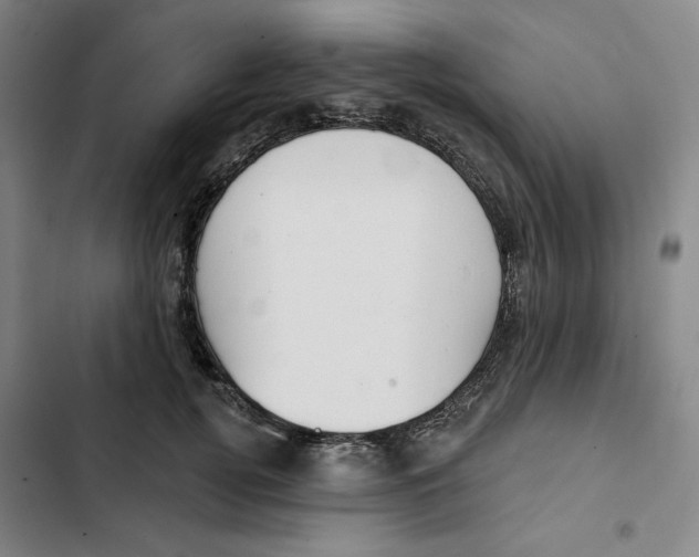 X0000102350752200808291201